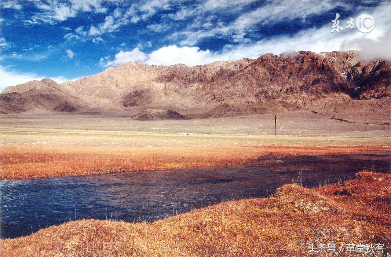 我心中的墨绿｜原创作文