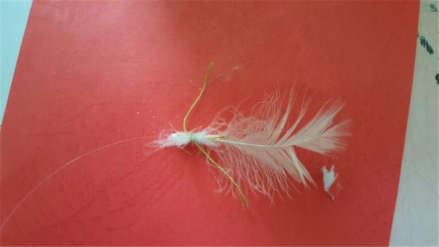 高手总结的钓鱼技巧学到了,教你钓鱼高手的秘籍