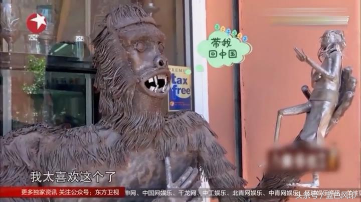 沈腾在外国买的猩猩,沈腾的奇葩经历