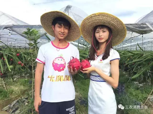 鍐滄潙鐏緳鏋滅伅鍏夌,鐏緳鏋滃熀鍦板闂翠笂婕旂伅鍏夌