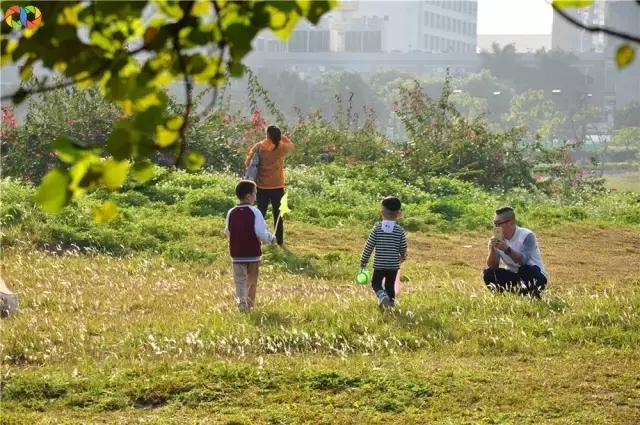珠海值得一去的景点,珠海一日游最值得去的地方