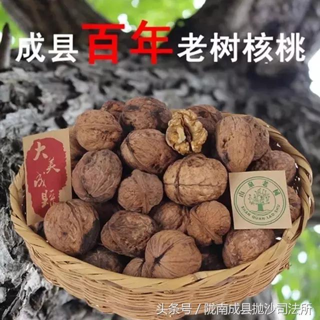 大美陇南是我的故乡,大美陇南风景如画