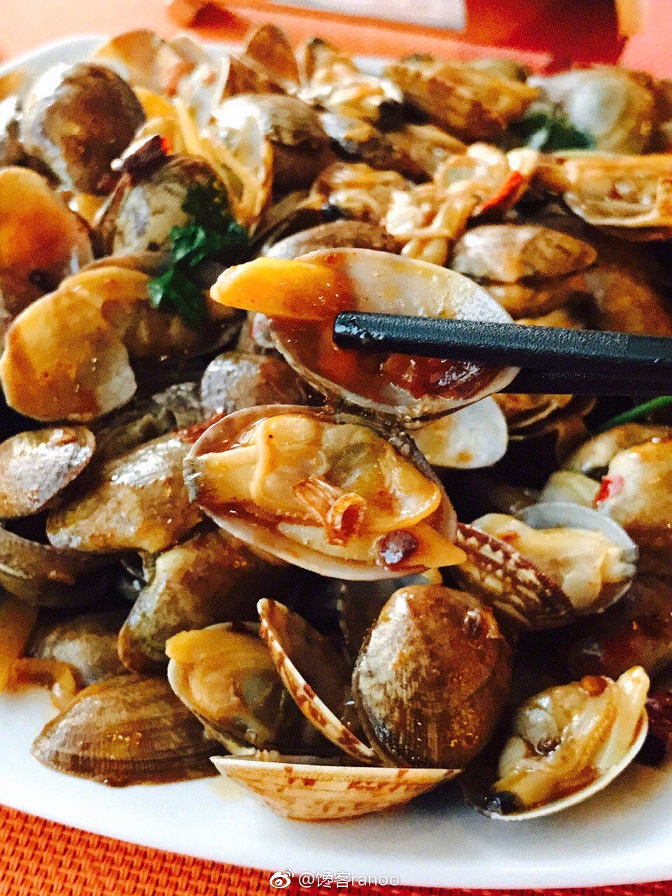 馋客美食旅行家丨住碧海沙滩泡海景温泉如何吃转渔岛海鲜五天不重样