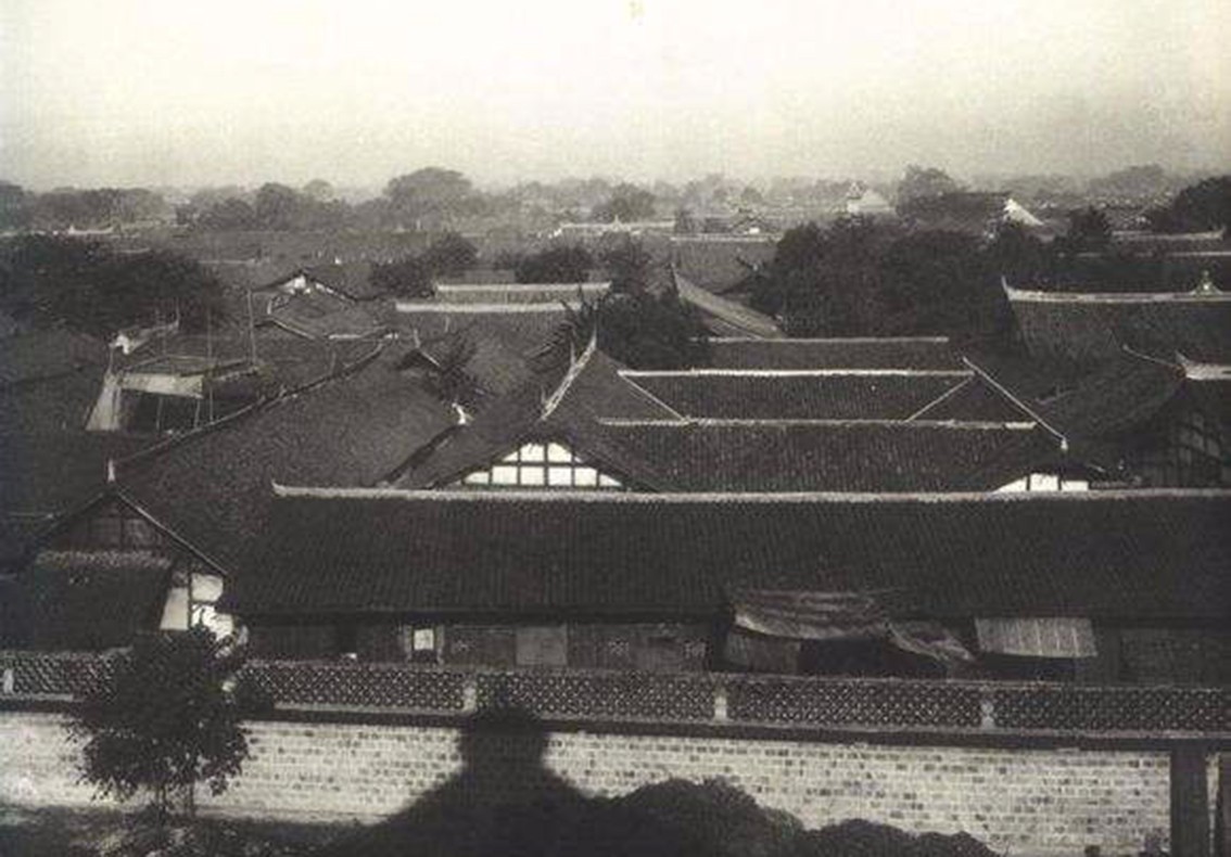 将军、老虎和宽窄巷子旁的猫猫儿巷