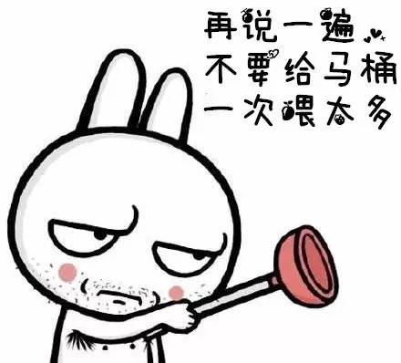 秘鲁巨型豚鼠介绍,秘鲁巨型豚鼠好养吗