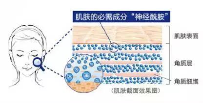 平价且好用的水乳,8款平价好用的水乳推荐