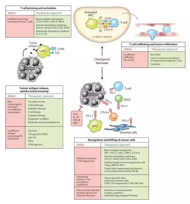 免疫治疗如何给药,免疫治疗有什么药