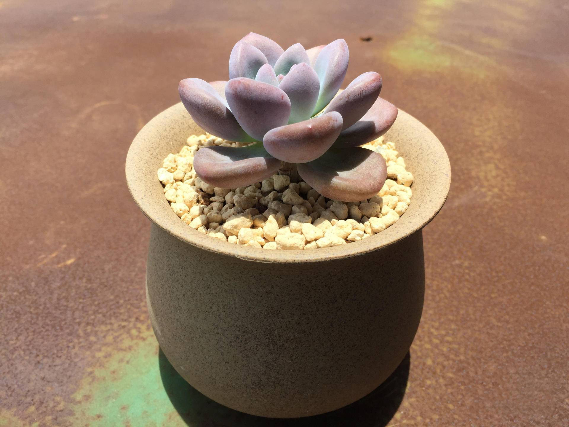 生锈的破铁门图片,生锈的铁门破了