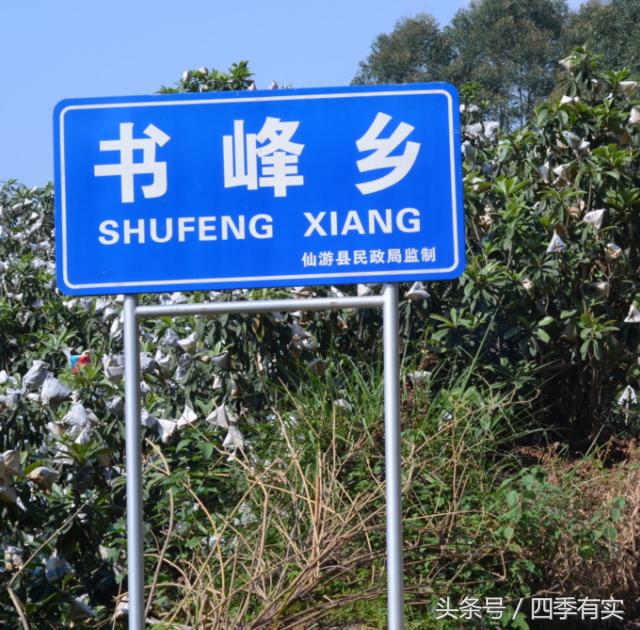 支气管炎患者如何预防雾霾天咳嗽,支气管炎患者如何预防雾霾天