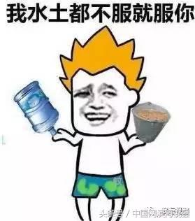 滨海新区房租价格,滨海新区房租回报率