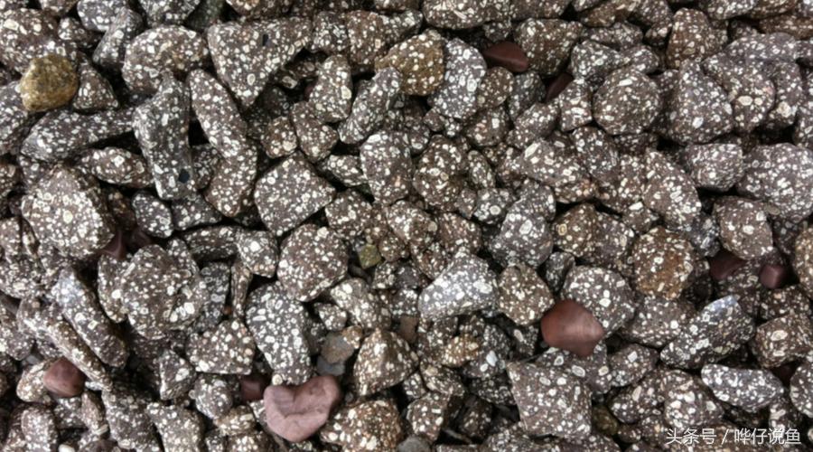 中华麦饭石养鱼,中华麦饭石净水器