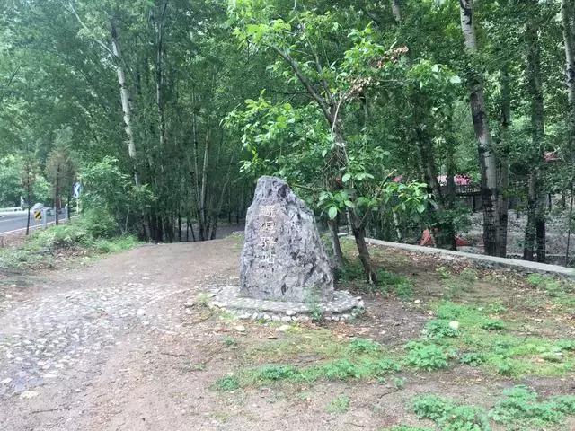 附近美食推荐灶台鱼,超好吃的灶台鱼