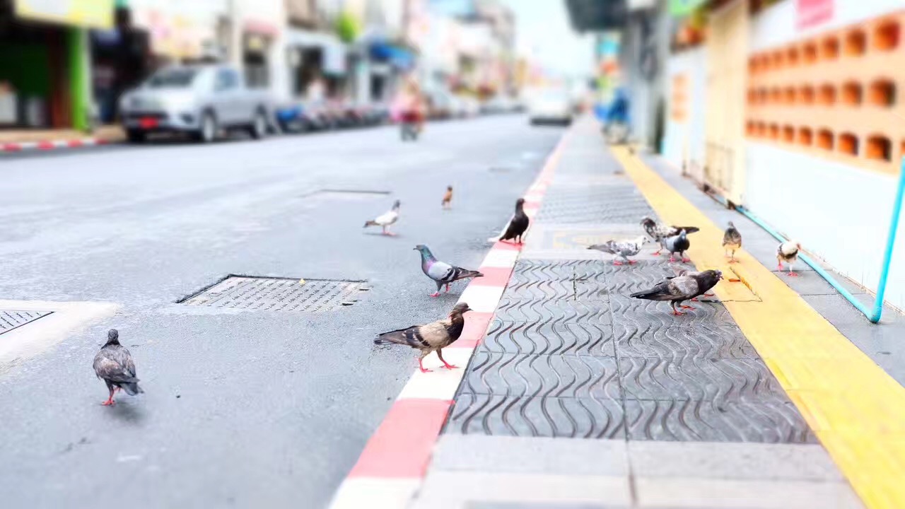 如何花5000元在普吉岛像王思聪一样的装X？