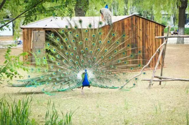 沈阳师范大学回忆,再见青春再见过往