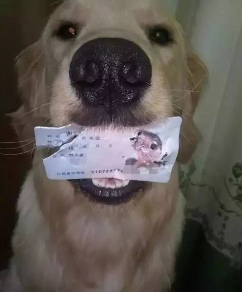 深夜食堂段子,深夜食堂的搞笑段子