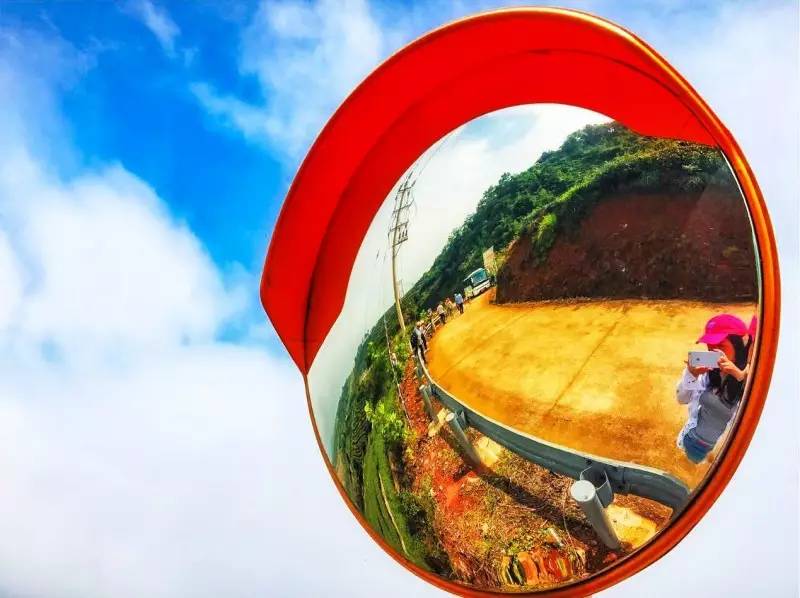 游茶山,游茶山竹海