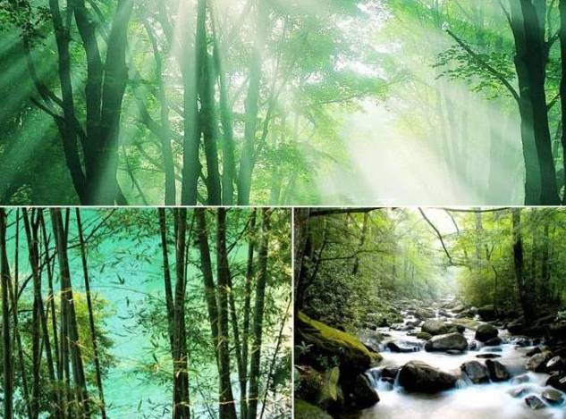 骑行柳州环江滨水观光道,柳州环江滨大道骑行