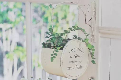 大学离家远是一种什么样的体验？