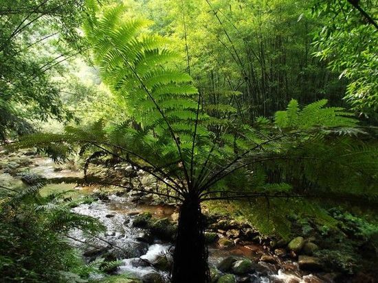 不仅有颜值还有内涵,贵州世界之最完整视频