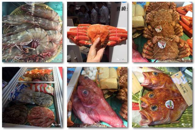 周末一日游详细攻略 (周末带你去旅行攻略)