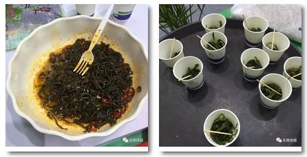 周末一日游详细攻略 (周末带你去旅行攻略)