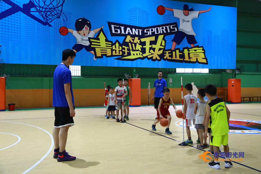 广东东莞篮球青训一年多少钱,东莞新世纪篮球青训队