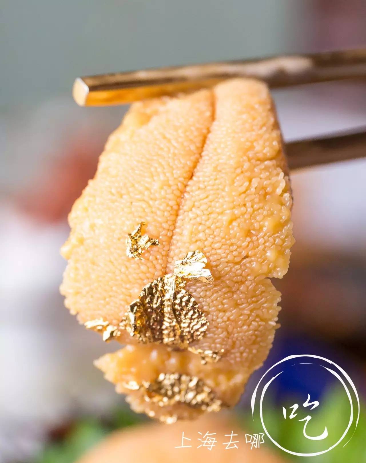 山葵芥末寿司,芥末寿司大战完整版