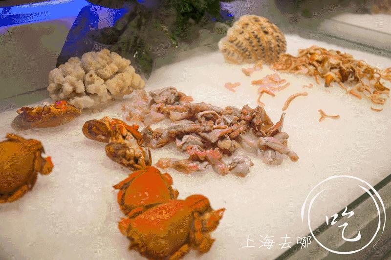 今天龙之梦有什么新闻,明天上海虹口龙之梦会开吗