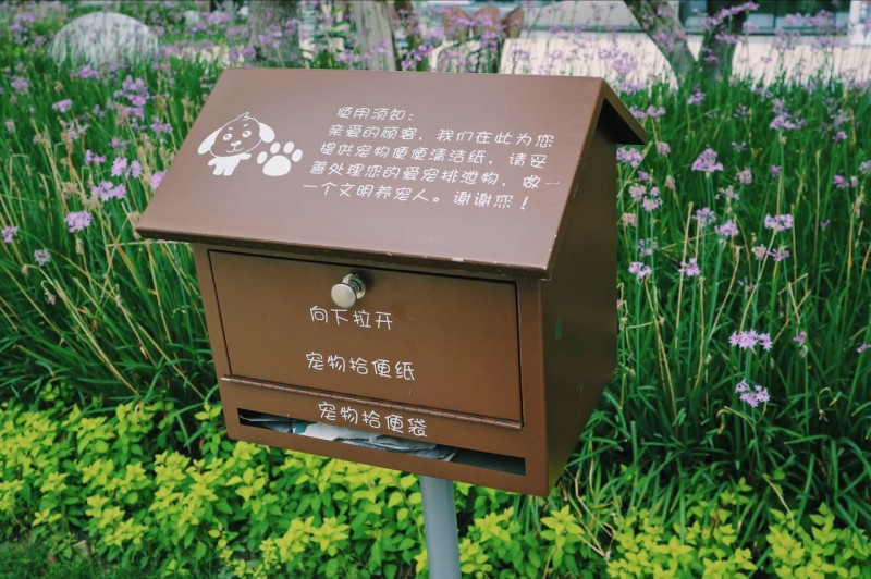 盘点十大网红萌宠,盘点全网6只网红萌宠