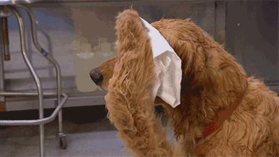 无叶风扇助你清爽一夏,好用到爆的无叶风扇