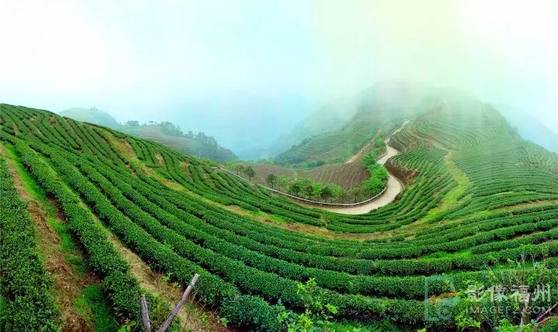 游茶山,游茶山竹海