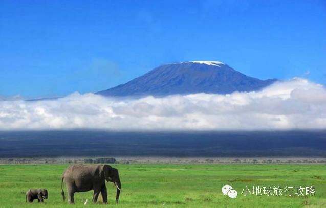 可能是最全的,肯尼亚坦桑尼亚动物百科。小地球耗时一周整理!