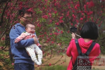 天晴景美花争艳踏青品墨都相宜