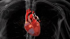 心理紧张引起心慌要紧吗,心慌是怎么回事