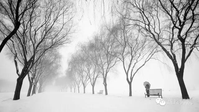 高校评分商丘师范学院,高校商丘工学院