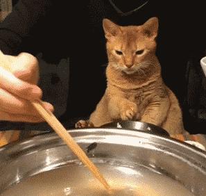 选底妆就跟选男人一样,选粉底一定要好好选