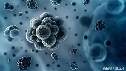 哈勃定律证实宇宙膨胀吗,哥本哈根量子力学视频