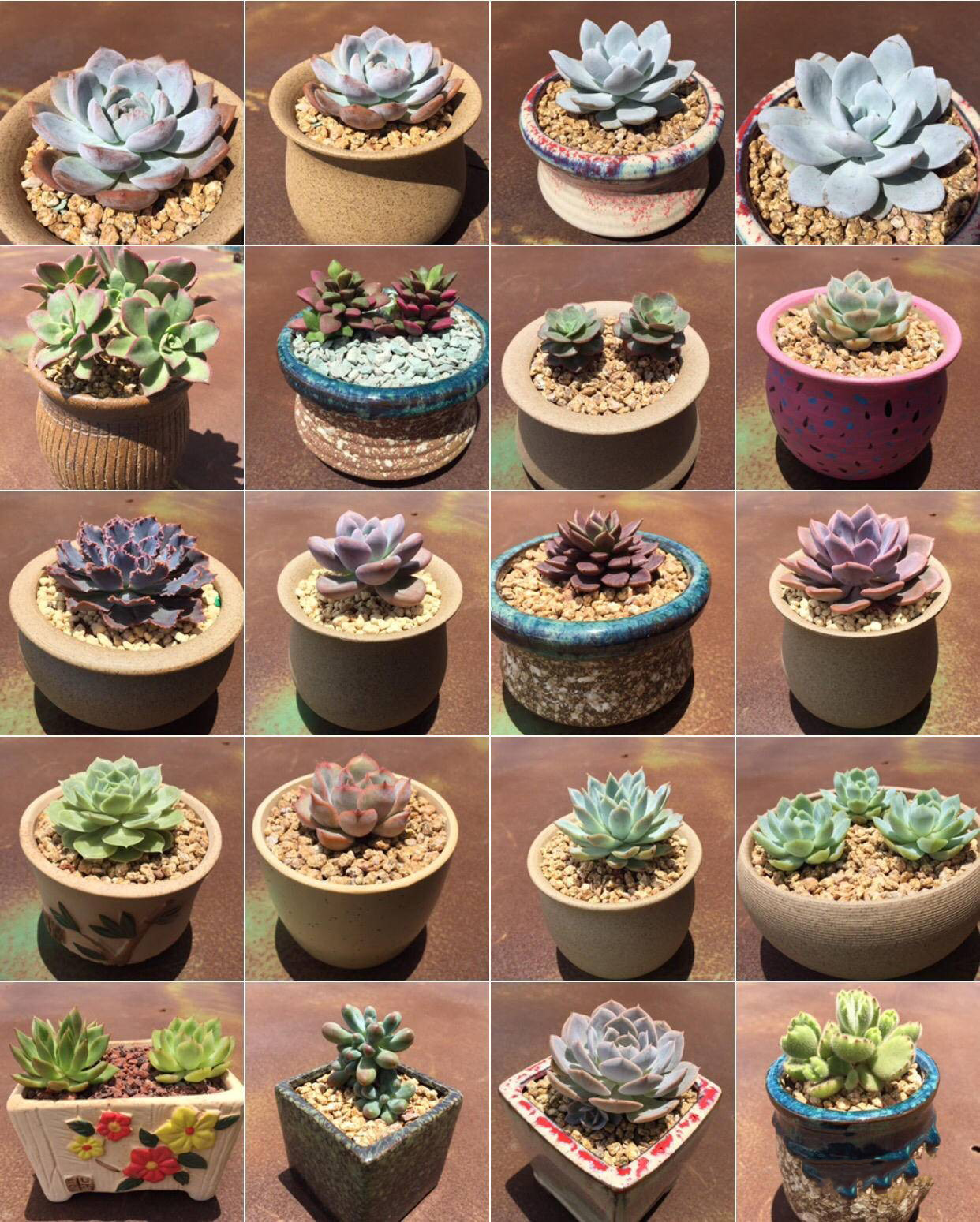 生锈的破铁门图片,生锈的铁门破了