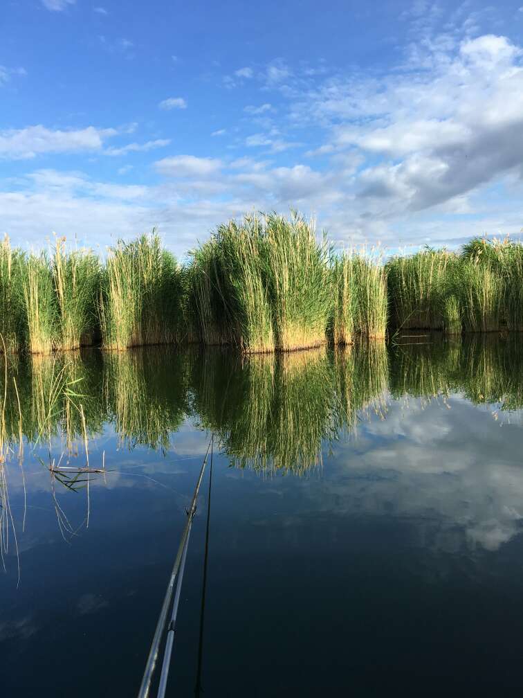 百姓钓鱼论坛plus专区,百姓钓鱼论坛官网