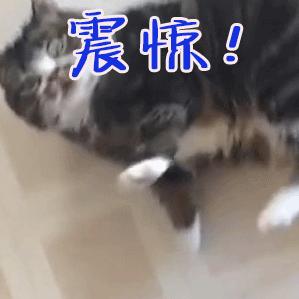 <html>
<head><title>502BadGateway</title></head>
<body>
<center><h1>502BadGateway</h1></center>
<hr><center>nginx</center>
</body>
</html>
<!--apaddingtodisableMSIEandChromefriendlyerrorpage-->
<!--apaddingtodisableMSIEandChromefriendlyerrorpage-->
<!--apaddingtodisableMSIEandChromefriendlyerrorpage-->
<!--apaddingtodisableMSIEandChromefriendlyerrorpage-->
<!--apaddingtodisableMSIEandChromefriendlyerrorpage-->
<!--apaddingtodisableMSIEandChromefriendlyerrorpage-->
