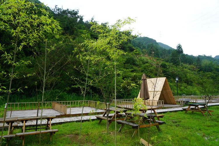 温州三八节免费景点,三八节好玩的地方温州