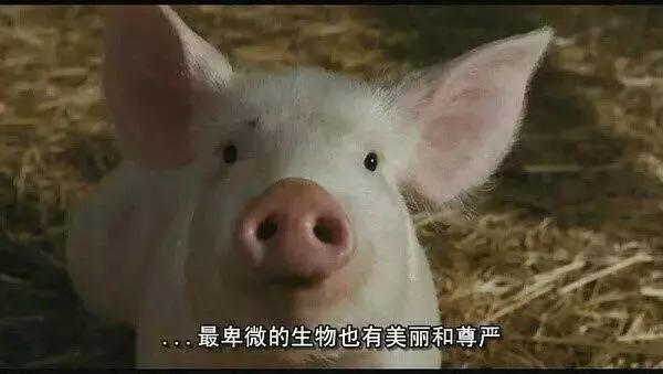 低价假冒化妆品对比,好多假的化妆品