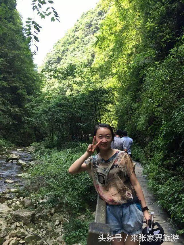 张家界旅游攻略天门山二日游费用,张家界大峡谷玻璃桥自由行