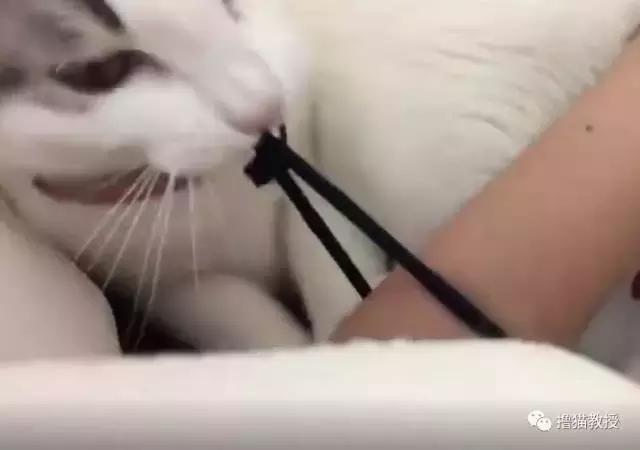 这样的叫床方式，有点一言难尽！