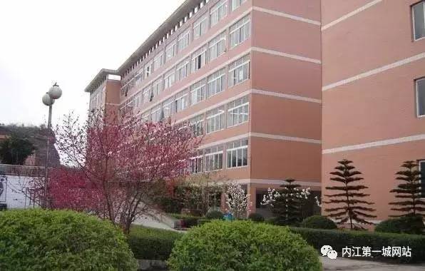 想穿校服,内江六中校服