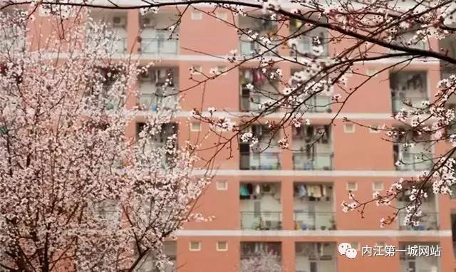 想穿校服,内江六中校服