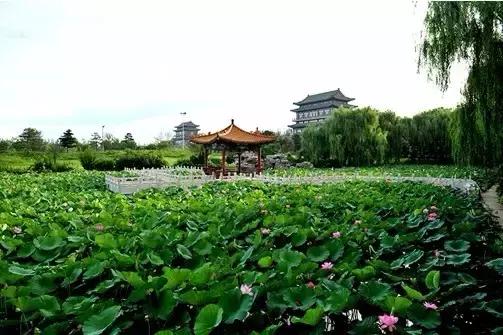 马龙和许昕张继科军训,马龙王楚钦一起下班碰到许昕