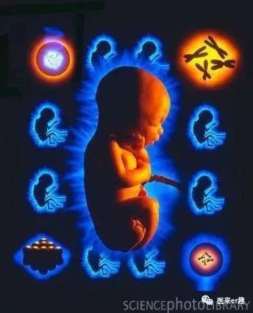 孕期胎儿左心室强回声斑怎么回事,右心室点状强回声对胎儿有影响吗