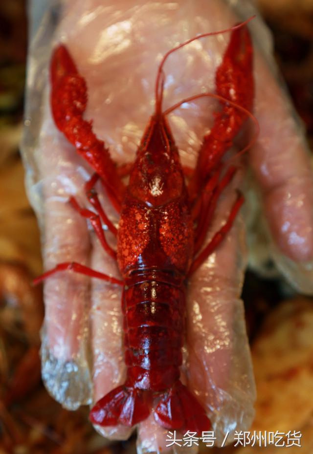 几个意思?去郑州南阳路吃海鲜,服务员你把菜倒桌上就跑?