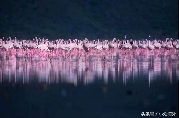 小众旅游地探索攻略,坦桑尼亚游猎攻略